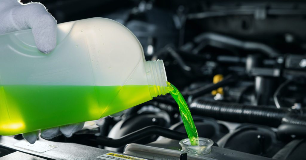 A person wearing a white glove pours fresh radiator fluid into a vehicle's radiator as part of a fill and flush service. Replacing radiator fluid per the manufacturer's recommended maintenance schedule prevents costly radiator repairs in Albuquerque. 